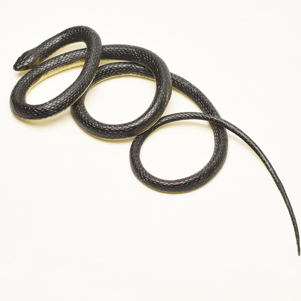 Realistic Green Snake Prop for - огляд і ціна Prank Toys